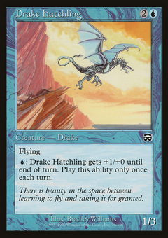 Drake Hatchling